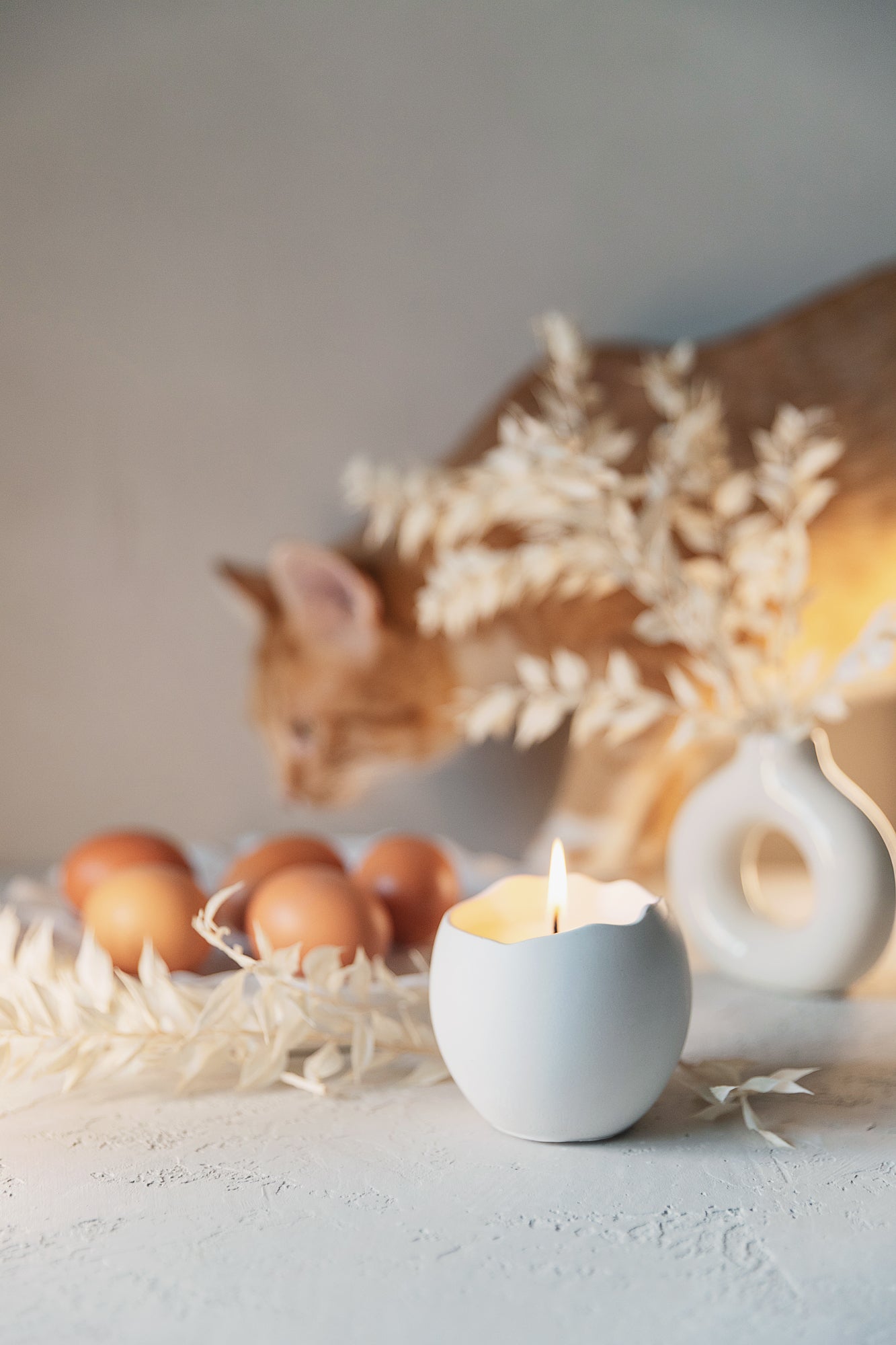 Rankų darbo žvakė gipso indelyje – kokosų vaškas, medvilninė dagtis, 14 val. degimo laikas – minimalistinė namų dekoro dovana