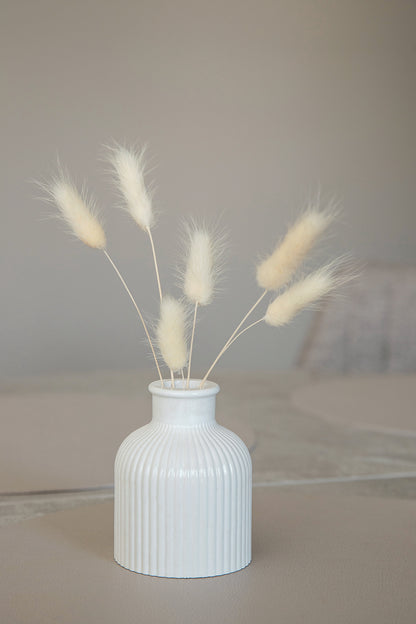 Balta gipso vazelė sausoms gėlėms – puiki dovana įkurtuvių proga